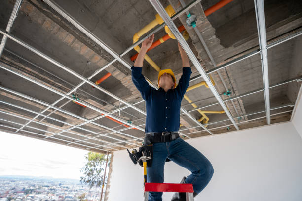 Best Clogged Drain Plumber  in Deltana, AK