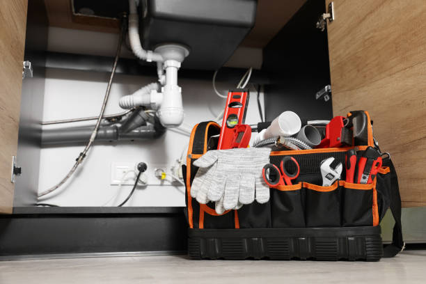 Best Shower Repair Services  in Deltana, AK