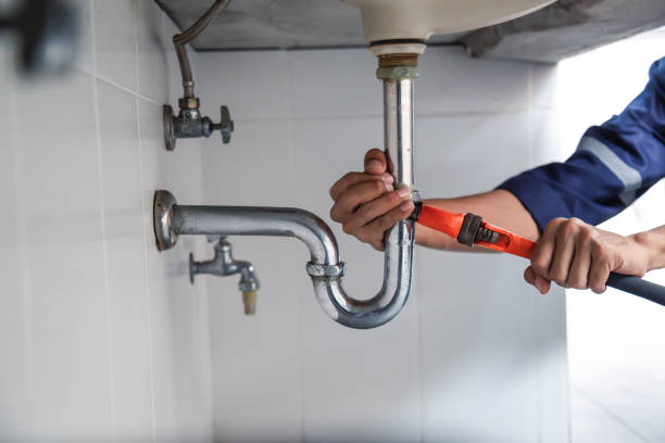 Best Local Plumber Services  in Deltana, AK