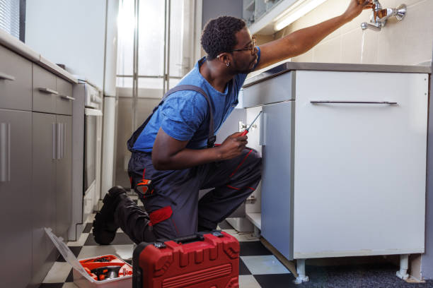 Best Same-Day Plumbing Service  in Deltana, AK