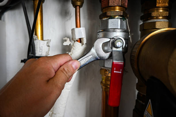 Best Emergency Plumbing Repair  in Deltana, AK